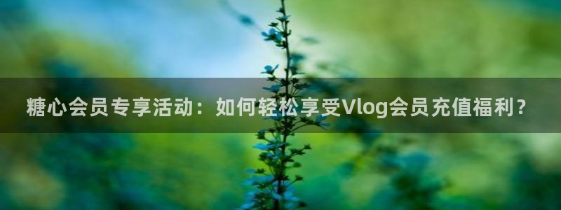 唐伯虎vlog糖心:糖心会员专享活动:如何轻松享受Vlog会员充值福利?