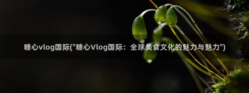 糖心vlog产:糖心vlog国际(\