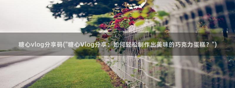 糖心vlog夏日回忆:糖心vlog分享码(\