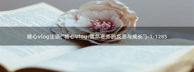 糖心tangxin.vlog:糖心vlog注销(\