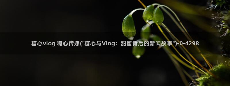 糖心VLOG派大星：糖心vlog 糖心传