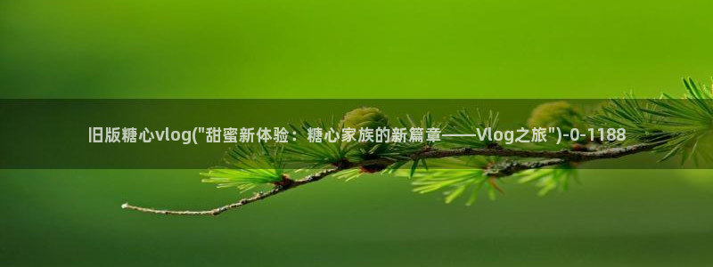 糖心出品vlog网页