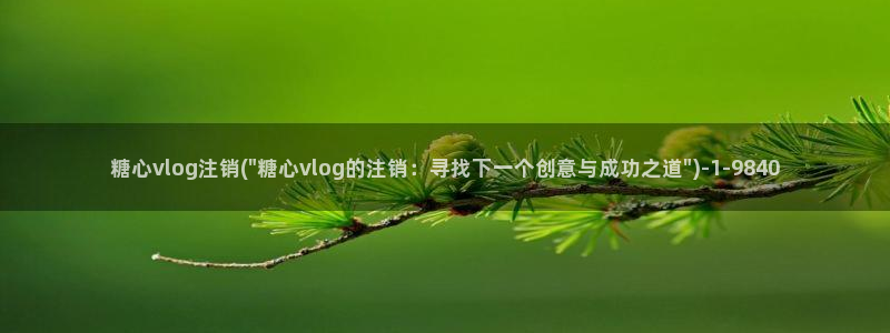 糖心vlog安卓版1