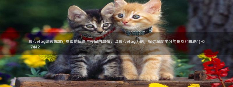 糖心视频vlog：糖心vlog深夜解放(