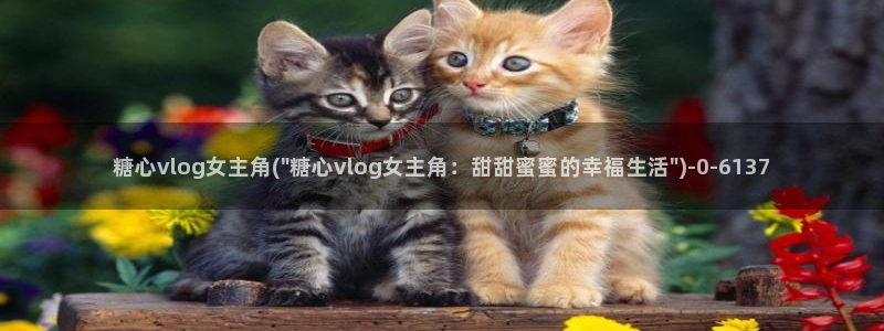  糖心vlog视频在线播放：糖心vlog女主角(\