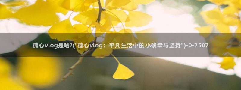  糖心vlog糖：糖心vlog是啥?(\