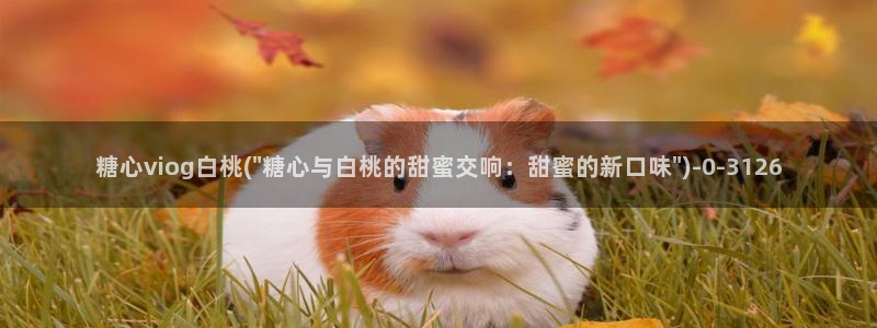 糖心官方vlog