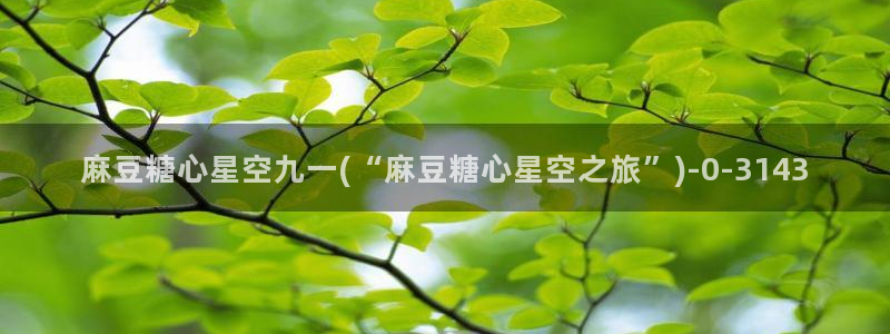 糖心深夜释放自己vlog新版本
