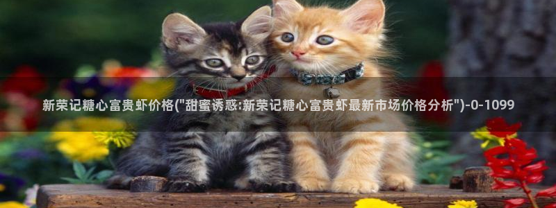  心糖vlog 网站：新荣记糖心富贵虾价格(\
