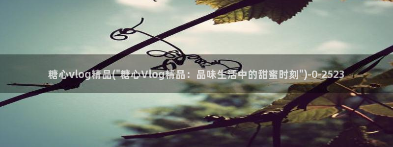 糖心短视频vlog：糖心vlog精品(\