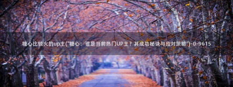  糖心vlog破解版在线：糖心比较火的up主(\