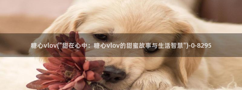  糖心vlog官：糖心vlov(\