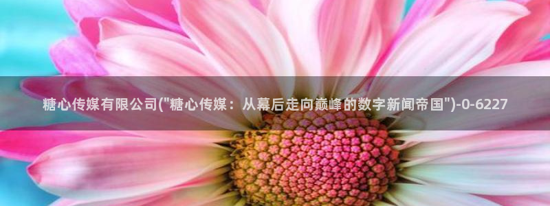 心糖vlog御梦子海边：糖心传媒有限公司(\